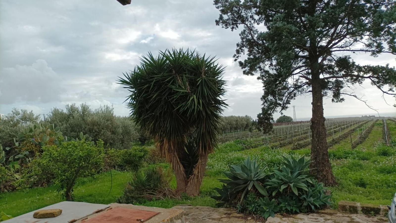 Casa Bouganville Villetta Tra Le Vigne E Il Mare Menfi Exterior foto